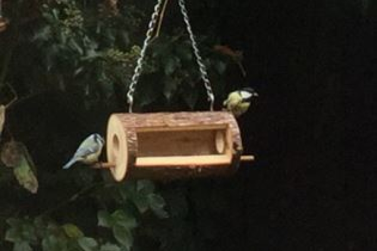 Vogel Futterstation, Bauanleitung + Video Bauanleitung zum