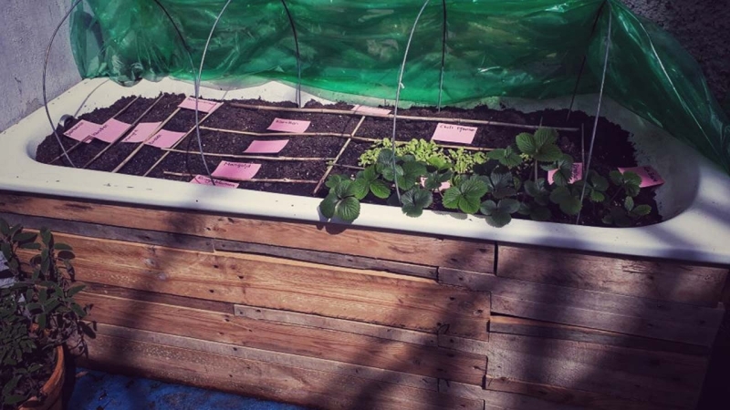 Hochbeet aus Badewanne und Paletten Bauanleitung zum Selberbauen 1