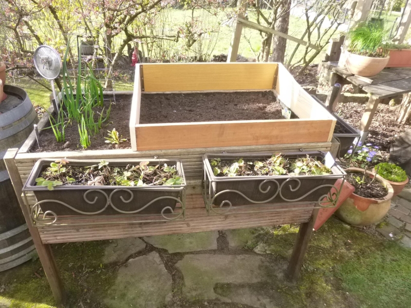 Frühbeetaufsatz für Hochbeet, faltbar Bauanleitung zum Selberbauen