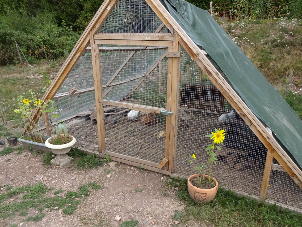 Pyramidengehege Fur Kaninchen Bauanleitung Zum Selberbauen 1 2 Do Com Deine Heimwerker Community