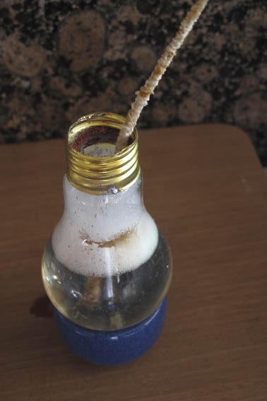 Eine alte Glühbirne als Vase - Bauanleitung zum Selberbauen - 1-2-do