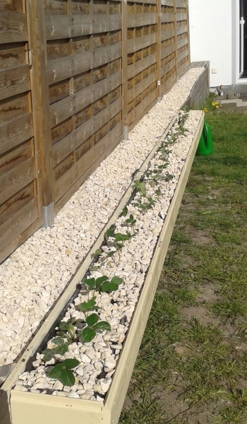 Erdbeerkästen höher gelegt ! :) - Bauanleitung zum Selberbauen - 1-2-do