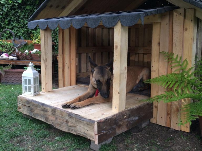 Hundehütte aus Einwegpaletten Bauanleitung zum