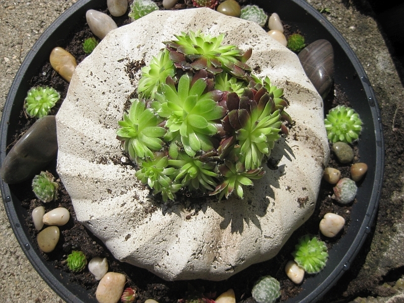 Resteverwertung oder backe, backe Kuchen - Bauanleitung zum Selberbauen
