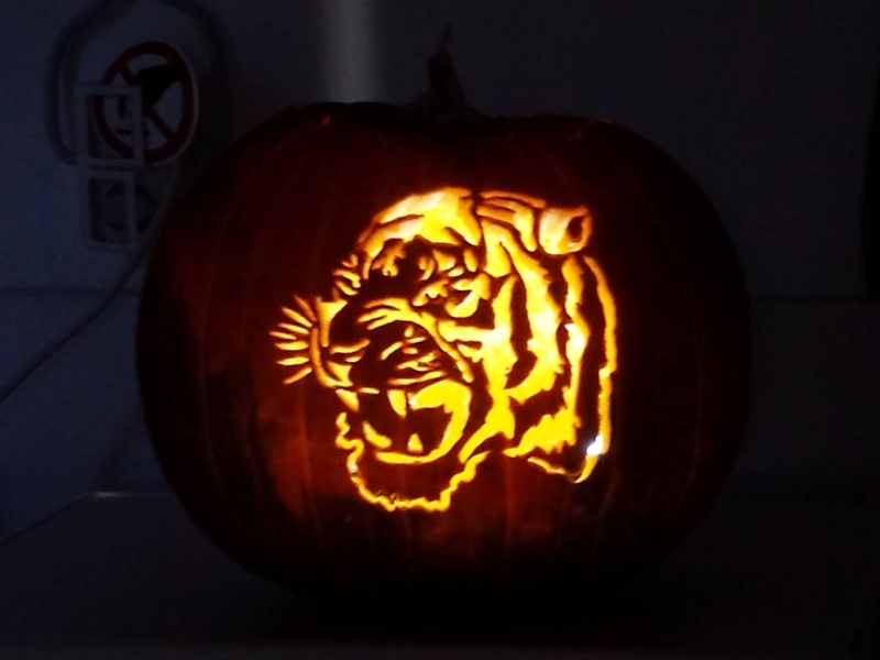 Halloween Kurbisse Bauanleitung Zum Selberbauen 1 2 Do Com