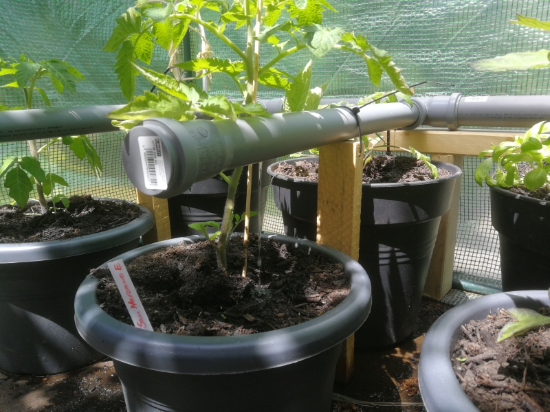 Prototyp Wasserverteilung im Tomatenhaus Bauanleitung zum