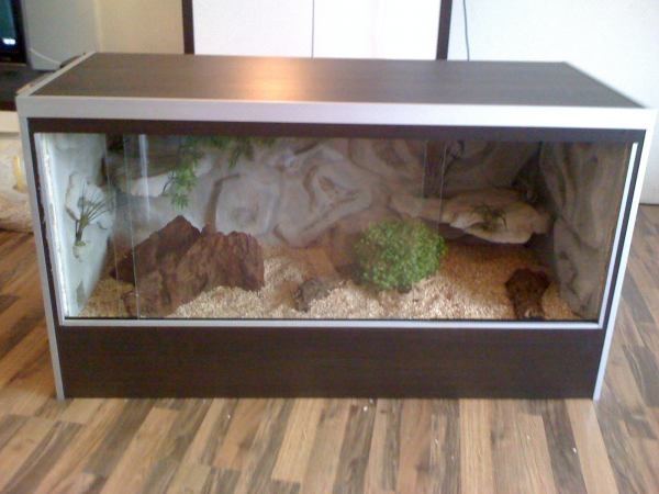 Terrarium Selber Bauen Aus Einem Schrank Terrarium - Bauanleitung zum Selberbauen - 1-2-do.com - Deine