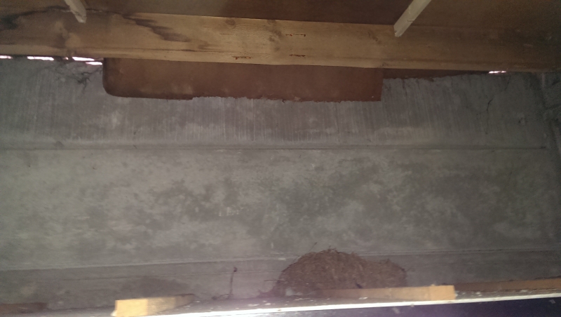 Kletterwand im Garage - Bauanleitung zum Selberbauen - 1-2-do.com