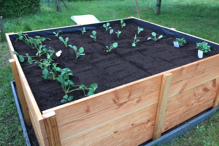 Hochbeet für den Garten Bauanleitung zum Selberbauen 1