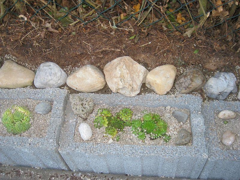 Pflanzsteine - Bauanleitung zum Selberbauen - 1-2-do.com - Deine ...