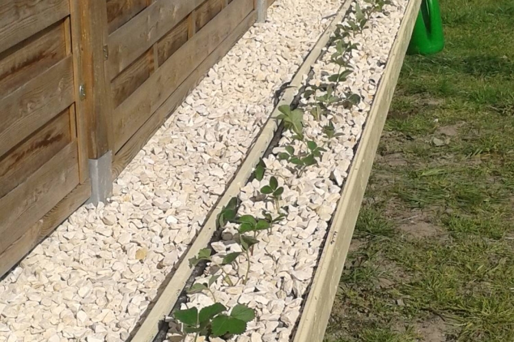 Erdbeerkästen höher gelegt ! :) - Bauanleitung zum Selberbauen - 1-2-do