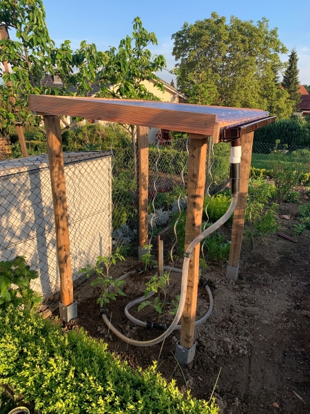 TomatenBewässerung mit Regenwasser Bauanleitung zum Selberbauen 1