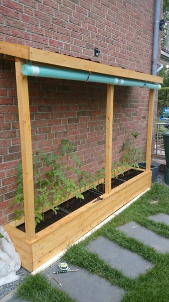 Ein Tomatenhaus ans Haus angelehnt Bauanleitung zum Selberbauen 12