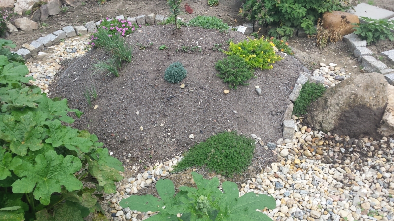Schildkröte im Garten Bauanleitung zum Selberbauen