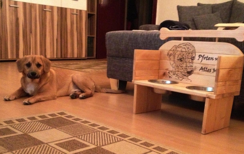 Napfhalter für Hunde (2nd Edition) Bauanleitung zum Selberbauen 12