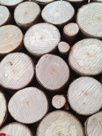 Bei uns ist jetzt Abfall (Müll) im Wohnzimmer - Bauanleitung zum