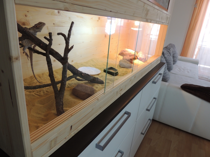 Terrarium Bauanleitung zum Selberbauen Deine