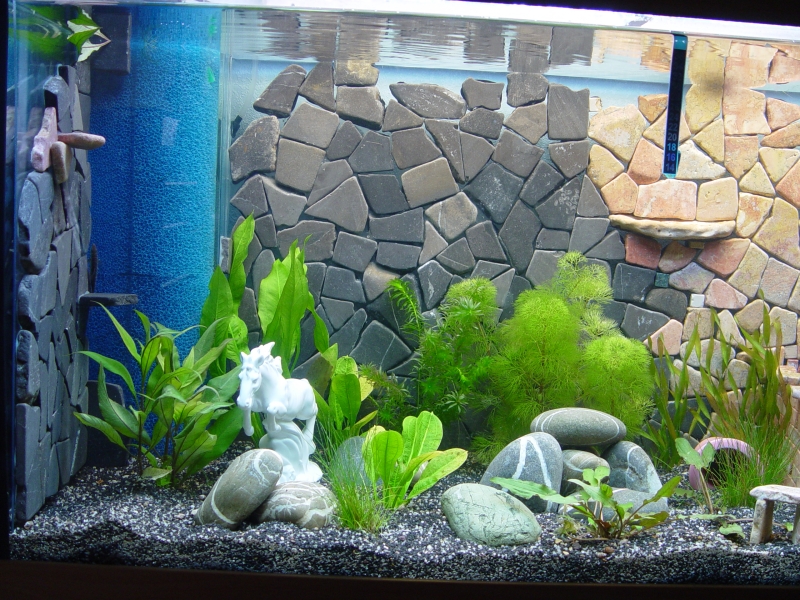 Aquarium Innengestaltung - Bauanleitung zum Selberbauen - 1-2-do.com
