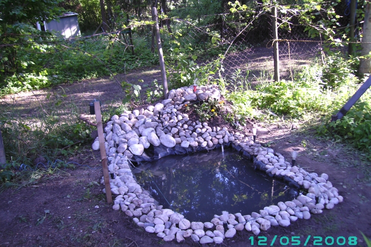 35+ Kleiner Teich Mit Springbrunnen, Lege selbst hand an und.