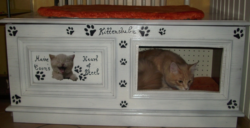 Wurfbox Für Katzen Selber Bauen