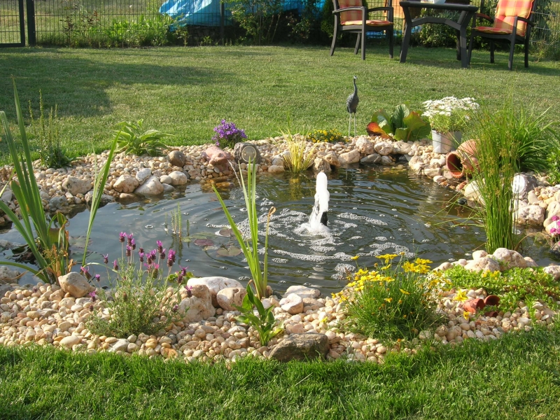 Anlegen eines Gartenteichs Bauanleitung zum Selberbauen