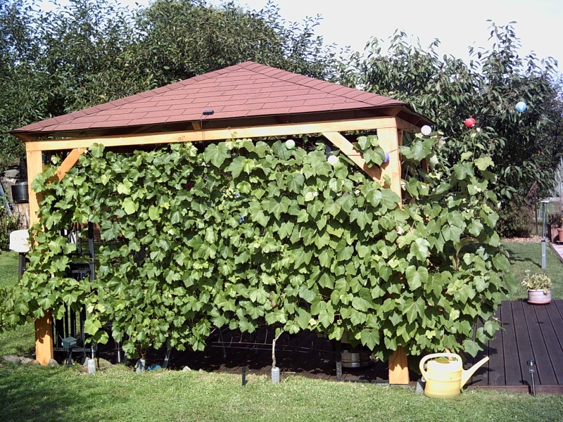 Schatten im Garten - Bauanleitung zum Selberbauen - 1-2-do.com - Deine