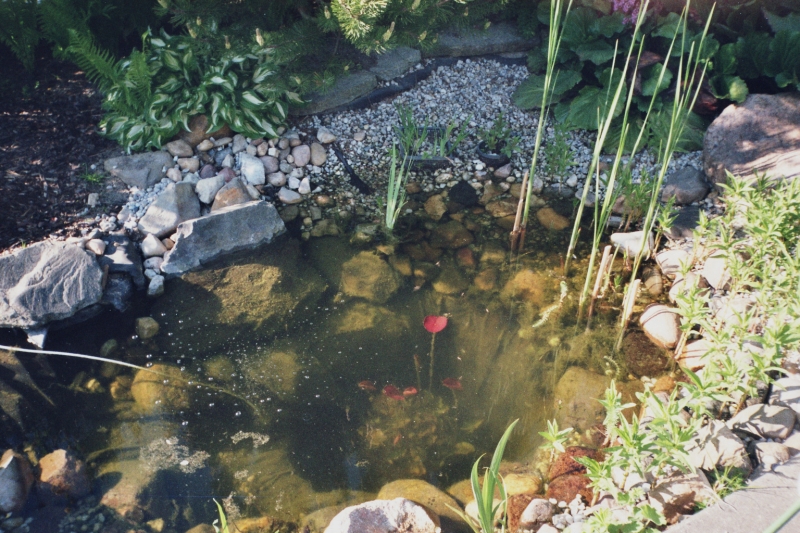 der Bachlauf Verbindung zwischen oberen und unteren Teich