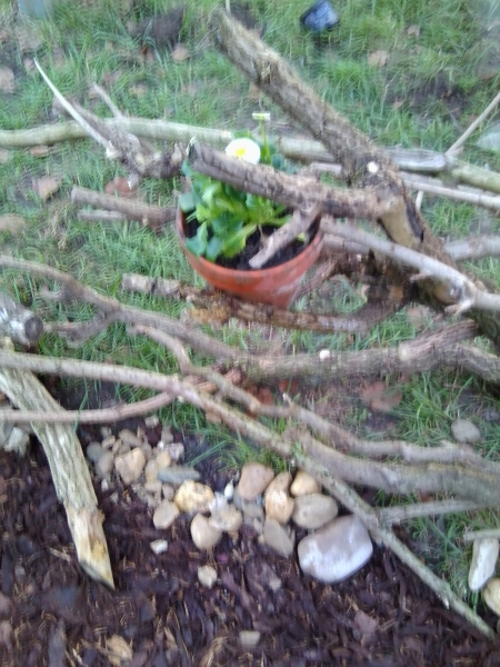Schrebergarten Teil 2 Weg vom Gartentor zur Terrasse - Bauanleitung zum