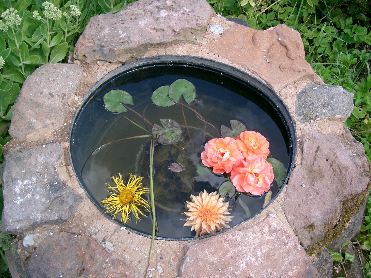 Kleine Wasserstelle Bauanleitung Zum Selberbauen 1 2 Do Com