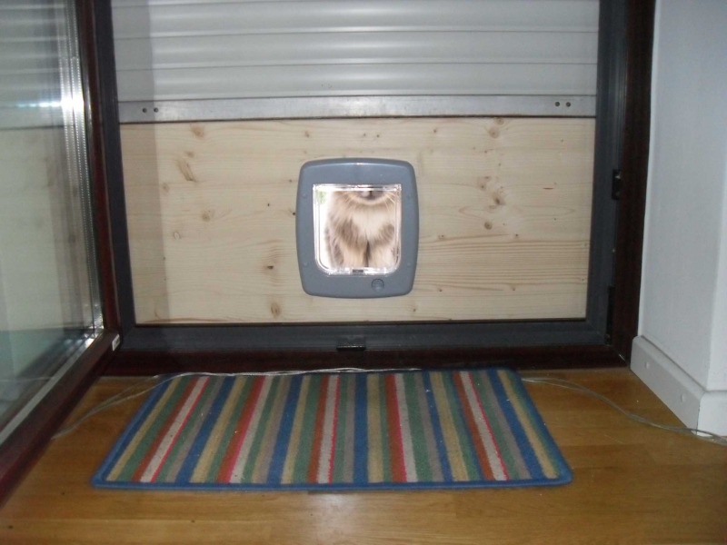Balkon Katzentür, Katzenklappe für den Zugang ins Freie Bauanleitung zum Selberbauen 12do
