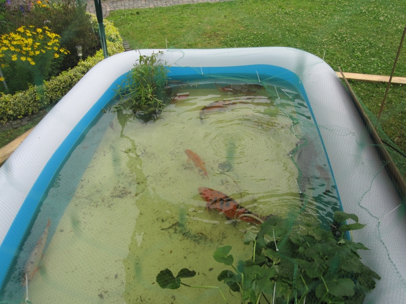 Teich neu anlegen, Teil 1 Bauanleitung zum Selberbauen