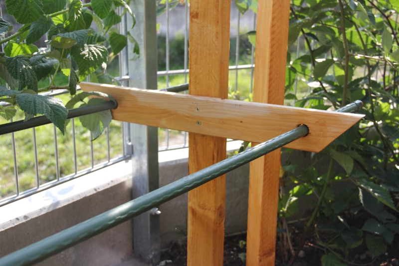 Rankhilfe Pergola für Himbeeren und Brombeeren Bauanleitung zum