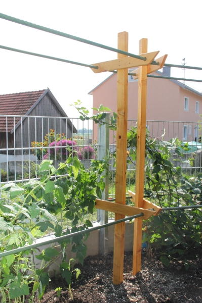 Rankhilfe Pergola für Himbeeren und Brombeeren Bauanleitung zum