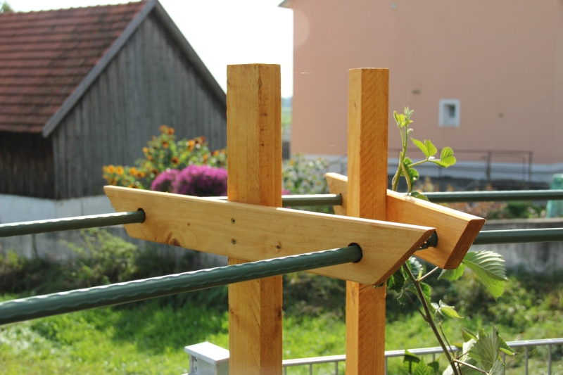 Rankhilfe Pergola für Himbeeren und Brombeeren Bauanleitung zum
