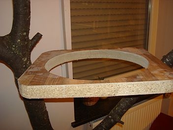 Kratzbaum Marke Eigenbau Bauanleitung Zum Selberbauen 1